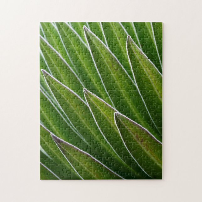 Giant Lobelia (Lobelia telekii) | Kenya, Africa Jigsaw Puzzle (Vertical)