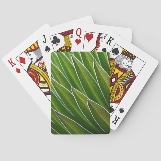 Giant Lobelia (Lobelia telekii) | Kenya, Africa Playing Cards (Back)
