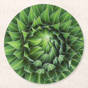 Giant Lobelia Mount Kenya National Park, Kenya Round Paper Coaster