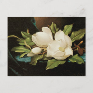 Giant Magnolias on a Blue Velvet Cloth by MJ Heade Postcard