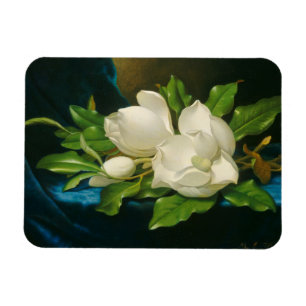 Giant Magnolias on a Blue Velvet Cloth, c.1890 (oi Magnet