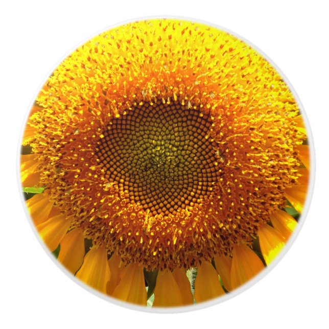 Giant mammoth yellow sunflower ceramic knob (Front)