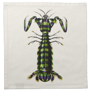 Giant Mantis Shrimp - Vintage Illustration Napkin