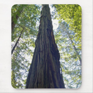 Giant Neverending Redwood Tree Mouse Pad
