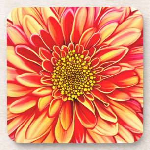 Giant Orange and Golden Yellow Aster Flower  Coaster