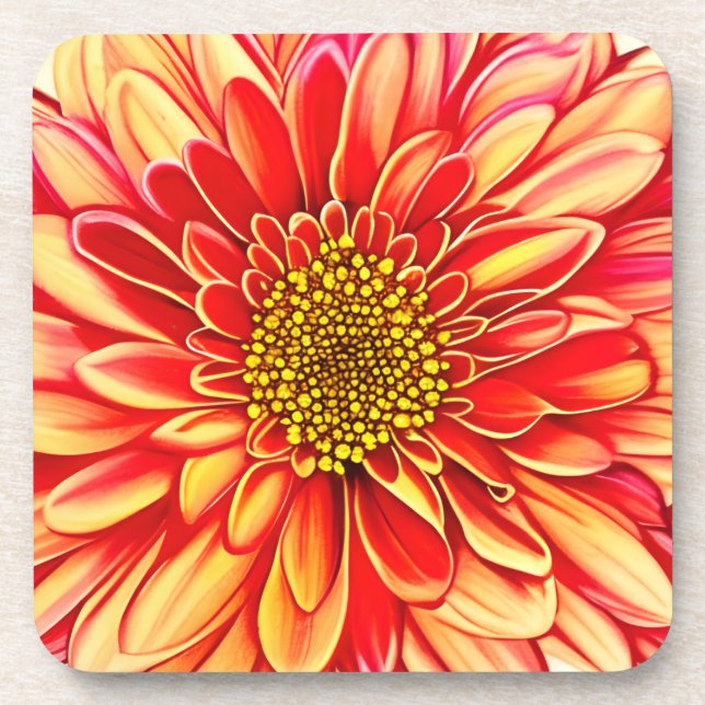 Giant Orange and Golden Yellow Aster Flower  Coaster (Front)