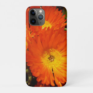 Giant Orange Daisies, iPhone 11 Pro Case