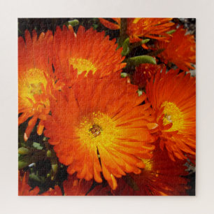 Giant Orange Daisies, Jigsaw Puzzle