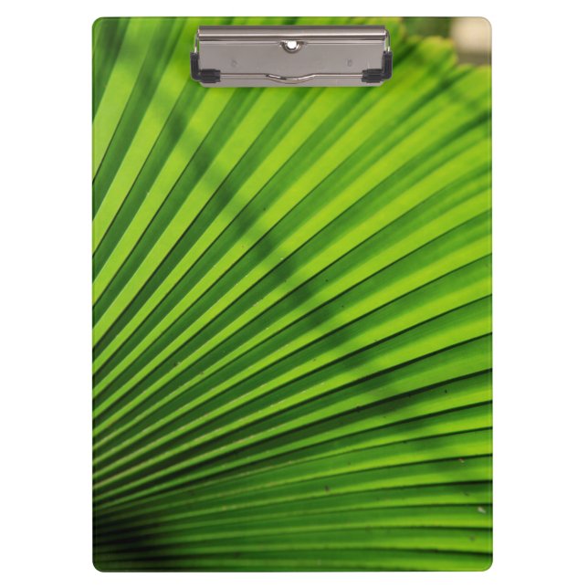 Giant Palm Leaf Pattern Clipboard (Front)