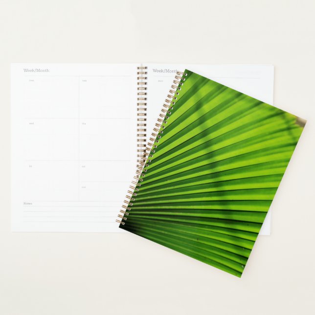 Giant Palm Leaf Pattern Planner (Display)
