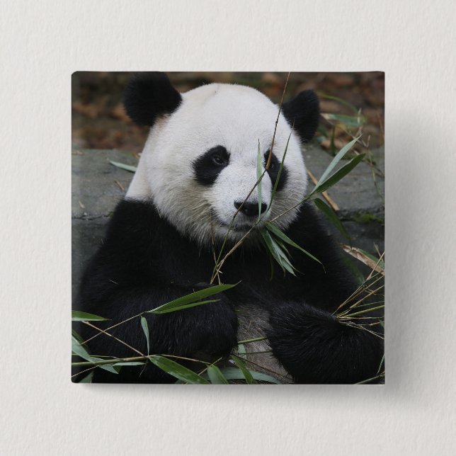 Giant panda 15 cm square badge (Front)