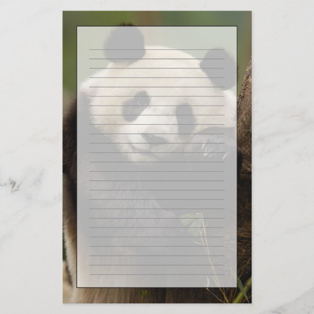 Giant panda Ailuropoda melanoleuca) Family Stationery (Front)
