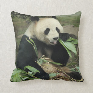 Giant Panda and Baby Panda Throw Pillow