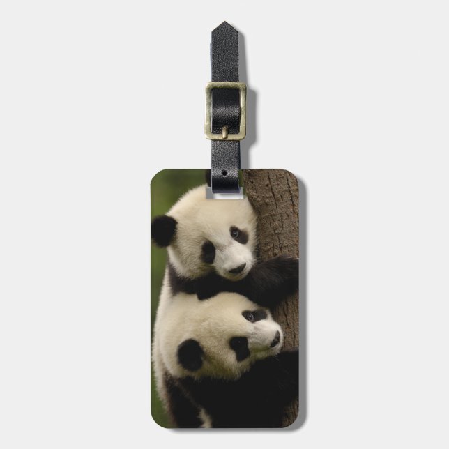 Giant panda babies (Ailuropoda melanoleuca) 2 Luggage Tag (Front Vertical)