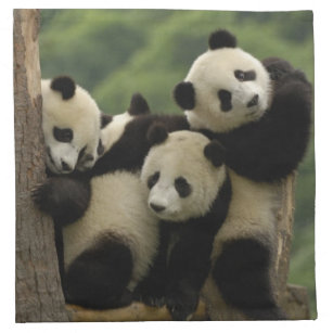 Giant panda babies Ailuropoda melanoleuca) 4 Napkin