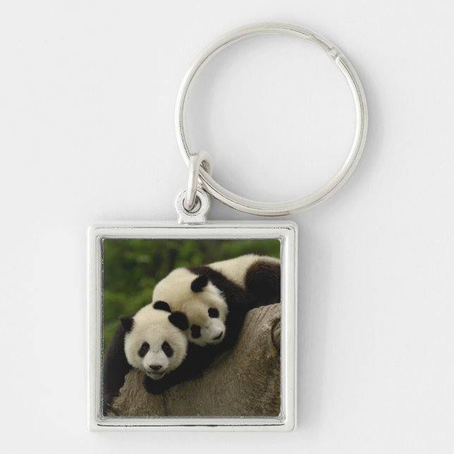 Giant panda babies Ailuropoda melanoleuca) Key Ring (Front)