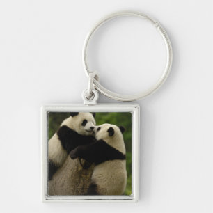 Giant panda babies (Ailuropoda melanoleuca) Key Ring