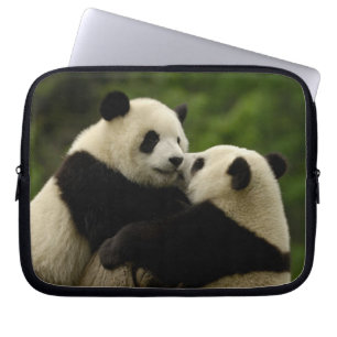 Giant panda babies (Ailuropoda melanoleuca) Laptop Sleeve