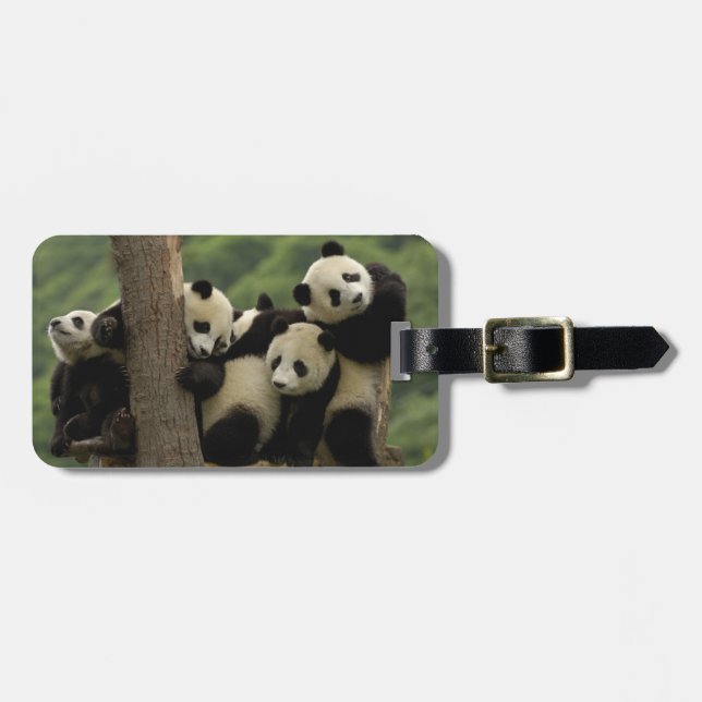 Giant panda babies Ailuropoda melanoleuca) Luggage Tag (Front Horizontal)