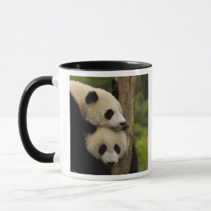 Giant panda babies Ailuropoda melanoleuca) Mug