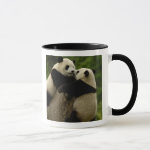 Giant panda babies (Ailuropoda melanoleuca) Mug