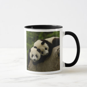Giant panda babies Ailuropoda melanoleuca) Mug