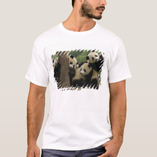 Giant panda babies Ailuropoda melanoleuca) T-Shirt