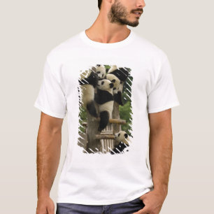Giant panda babies Ailuropoda melanoleuca) T-Shirt