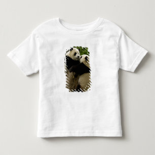 Giant panda babies (Ailuropoda melanoleuca) Toddler T-Shirt