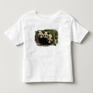 Giant panda babies Ailuropoda melanoleuca) Toddler T-Shirt