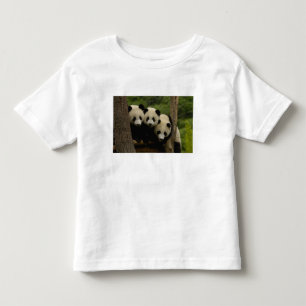 Giant panda babies Ailuropoda melanoleuca) Toddler T-Shirt
