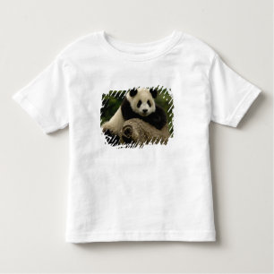 Giant panda baby Ailuropoda melanoleuca) Toddler T-Shirt
