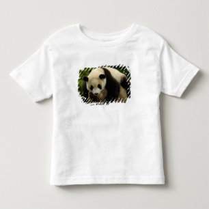 Giant panda baby (Ailuropoda melanoleuca) Toddler T-Shirt