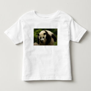 Giant panda baby (Ailuropoda melanoleuca) Toddler T-Shirt