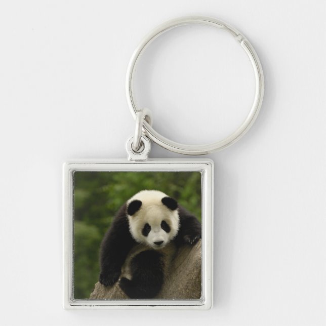 Giant panda baby key ring (Front)