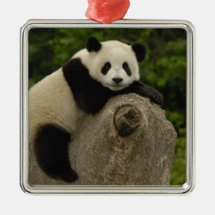 Giant panda baby metal tree decoration