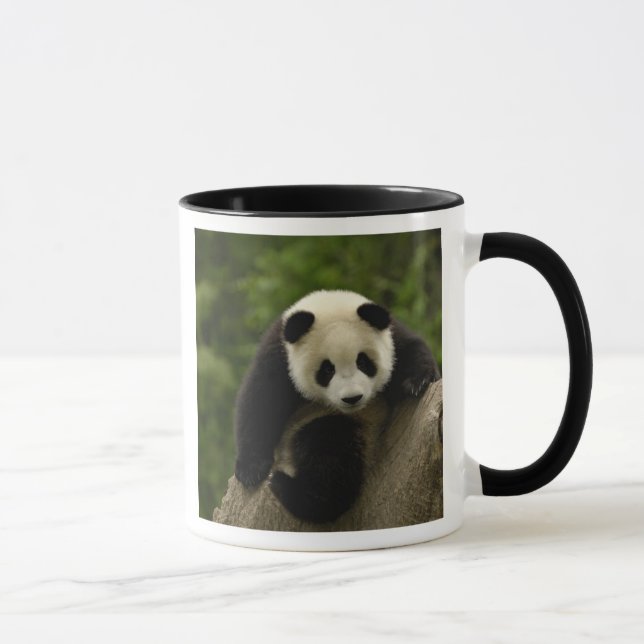 Giant panda baby mug (Right)
