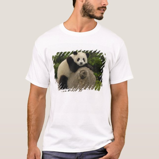 Giant panda baby T-Shirt (Front)