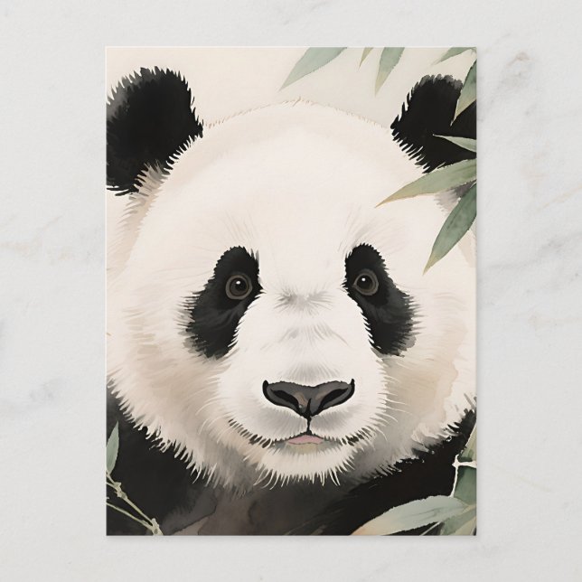 Giant Panda Bamboo Portrait Postcard (Front)