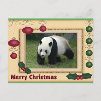 Giant Panda Bear & Baby Panda Christmas Card