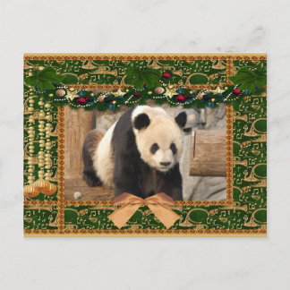 Giant Panda Bear & Baby Panda Christmas Card