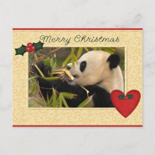 Giant Panda Bear & Baby Panda Christmas Card