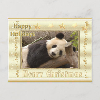 Giant Panda Bear & Baby Panda Christmas Card
