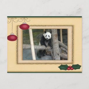 Giant Panda Bear & Baby Panda Christmas Card