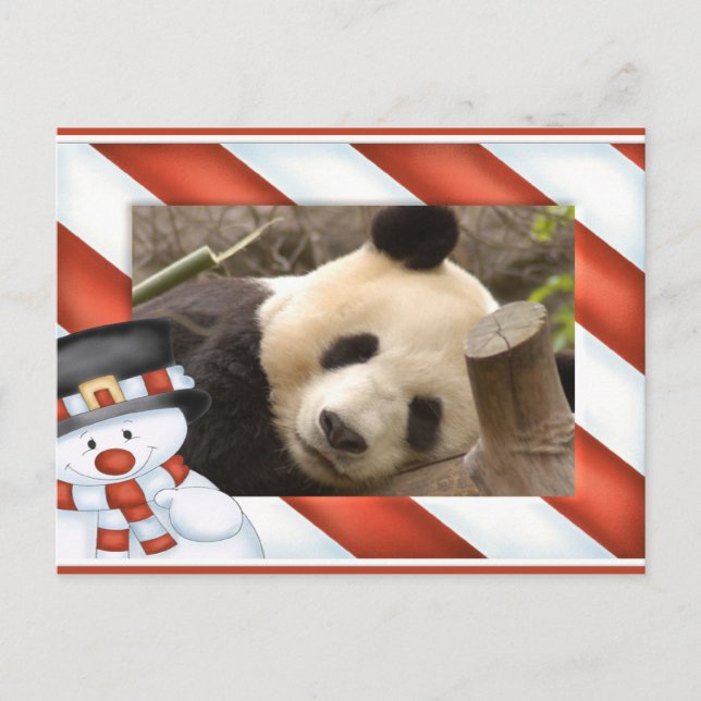 Giant Panda Bear & Baby Panda Christmas Card (Front)