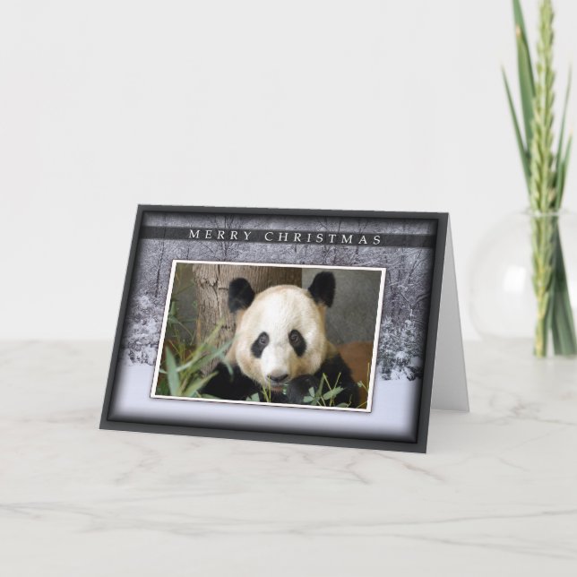 Giant Panda Bear Christmas Greeting Card (Front)