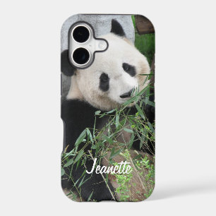 Giant Panda Bear, Personalised Name,