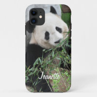 Giant Panda Bear, Personalised Name, 