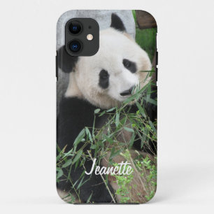 Giant Panda Bear, Personalised Name,  iPhone 11 Case