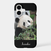 Giant Panda Black Casemate
